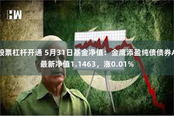 股票杠杆开通 5月31日基金净值：金鹰添盈纯债债券A最新净值1.1463，涨0.01%