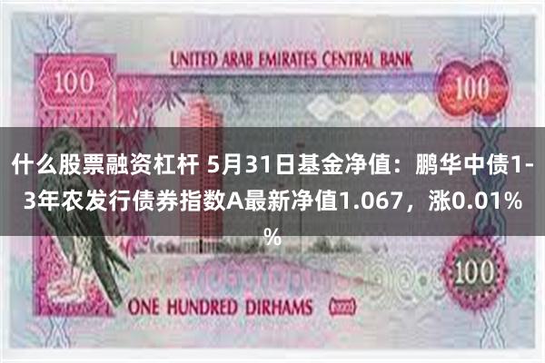 什么股票融资杠杆 5月31日基金净值：鹏华中债1-3年农发行债券指数A最新净值1.067，涨0.01%