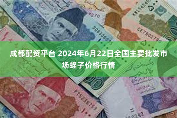 成都配资平台 2024年6月22日全国主要批发市场蛏子价格行情