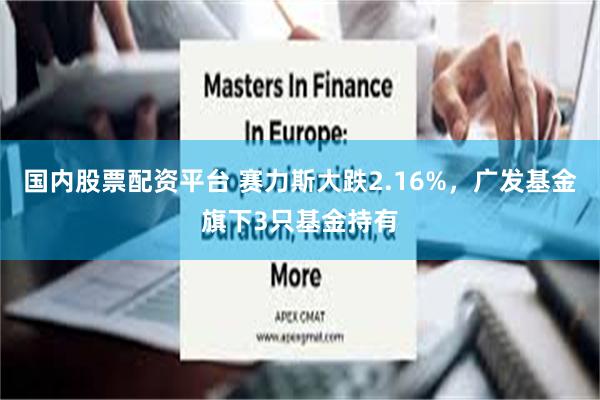 国内股票配资平台 赛力斯大跌2.16%，广发基金旗下3只基金持有