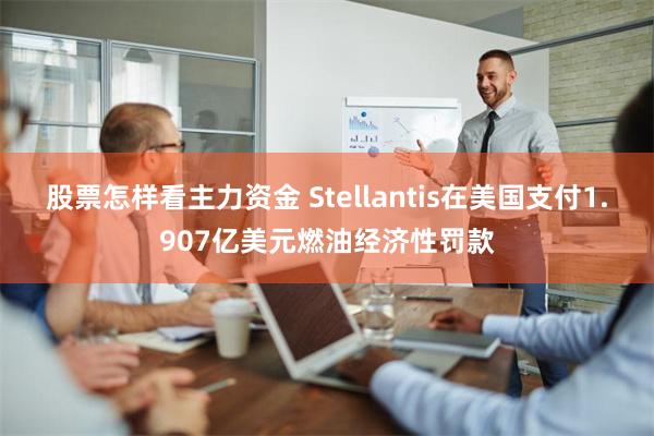 股票怎样看主力资金 Stellantis在美国支付1.907亿美元燃油经济性罚款