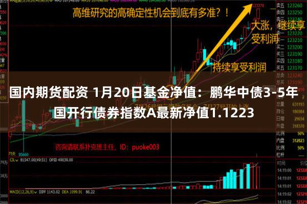 国内期货配资 1月20日基金净值：鹏华中债3-5年国开行债券指数A最新净值1.1223