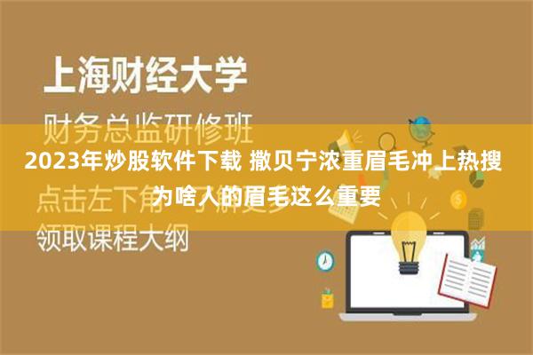 2023年炒股软件下载 撒贝宁浓重眉毛冲上热搜 为啥人的眉毛这么重要