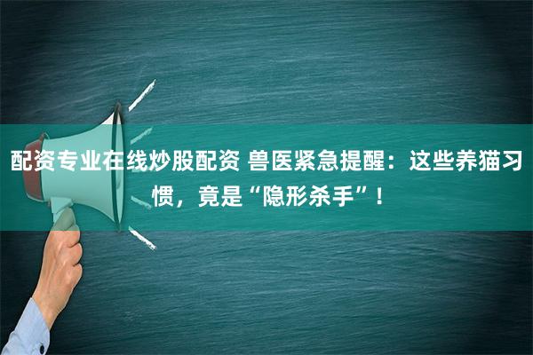 配资专业在线炒股配资 兽医紧急提醒：这些养猫习惯，竟是“隐形杀手”！