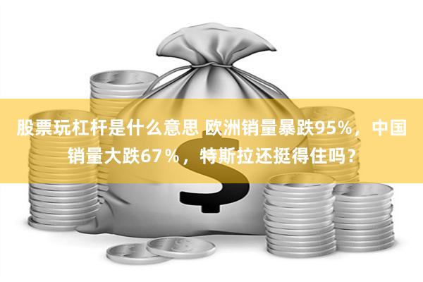 股票玩杠杆是什么意思 欧洲销量暴跌95%，中国销量大跌67％，特斯拉还挺得住吗？